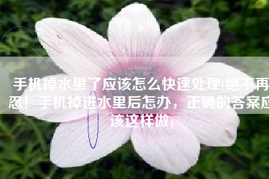 手机掉水里了应该怎么快速处理(绝不再忍！手机掉进水里后怎办，正确的答案应该这样做)