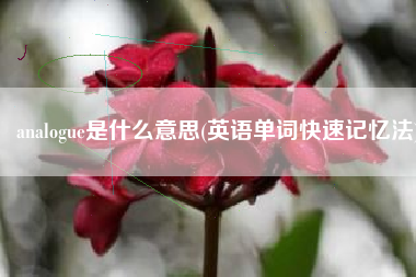 analogue是什么意思(英语单词快速记忆法)
