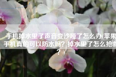 手机掉水里了声音变沙哑了怎么办(苹果手机真的可以防水吗？掉水里了怎么抢救？)