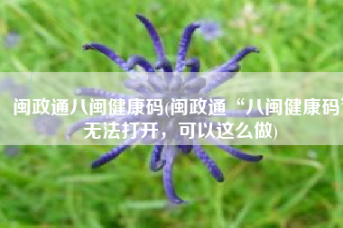 闽政通八闽健康码(闽政通“八闽健康码”无法打开，可以这么做)