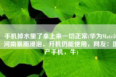 手机掉水里了拿上来一切正常(华为Mate30河南暴雨浸泡，开机仍能使用，网友：国产手机，牛)