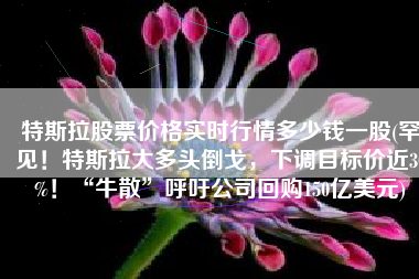 特斯拉股票价格实时行情多少钱一股(罕见！特斯拉大多头倒戈，下调目标价近30%！“牛散”呼吁公司回购150亿美元)