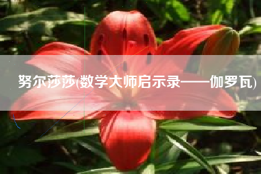 努尔莎莎(数学大师启示录——伽罗瓦)