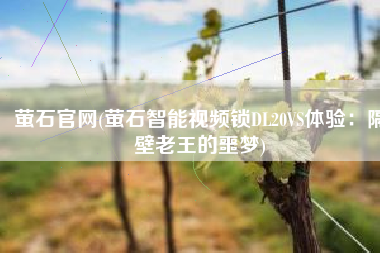 萤石官网(萤石智能视频锁DL20VS体验：隔壁老王的噩梦)