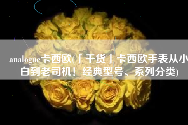 analogue卡西欧(「干货」卡西欧手表从小白到老司机！经典型号、系列分类)