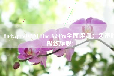 findx2pro(OPPO Find X2 Pro全面评测：久违的极致旗舰)