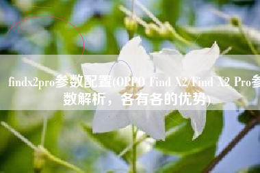 findx2pro参数配置(OPPO Find X2/Find X2 Pro参数解析，各有各的优势)