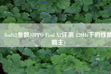 findx2参数(OPPO Find X2评测 120Hz下的性能霸主)