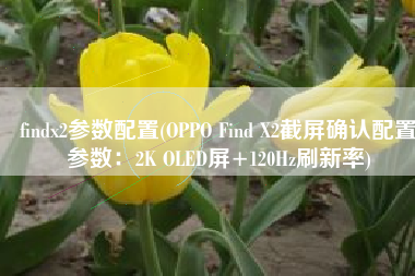 findx2参数配置(OPPO Find X2截屏确认配置参数：2K OLED屏+120Hz刷新率)