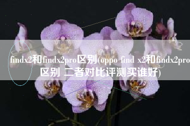 findx2和findx2pro区别(oppo find x2和findx2pro区别 二者对比评测买谁好)
