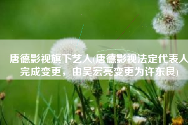唐德影视旗下艺人(唐德影视法定代表人完成变更，由吴宏亮变更为许东良)