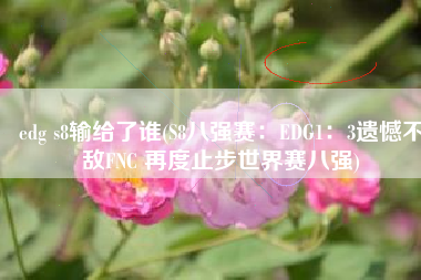 edg s8输给了谁(S8八强赛：EDG1：3遗憾不敌FNC 再度止步世界赛八强)
