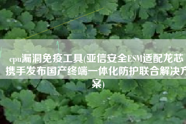 cpu漏洞免疫工具(亚信安全ESM适配龙芯 携手发布国产终端一体化防护联合解决方案)