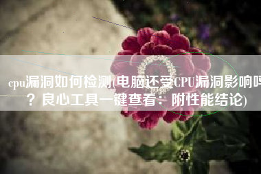 cpu漏洞如何检测(电脑还受CPU漏洞影响吗？良心工具一键查看：附性能结论)