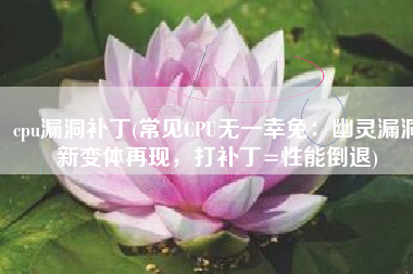 cpu漏洞补丁(常见CPU无一幸免：幽灵漏洞新变体再现，打补丁=性能倒退)