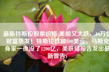 最新特斯拉股票价格(美股又大跌，14万亿财富蒸发！特斯拉跌破800美元，马斯克身家一夜没了1200亿，美联储报告发出最新警告)