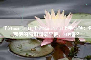 华为matepad11(华为MatePad 11上手体验：你期待的高刷鸿蒙平板，2499香？)