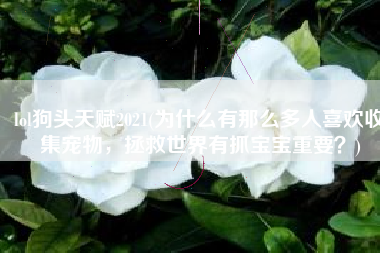 lol狗头天赋2021(为什么有那么多人喜欢收集宠物，拯救世界有抓宝宝重要？)