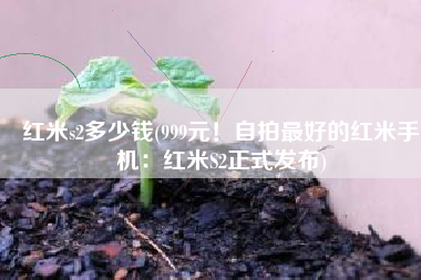 红米s2多少钱(999元！自拍最好的红米手机：红米S2正式发布)