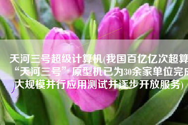 天河三号超级计算机(我国百亿亿次超算“天河三号”原型机已为30余家单位完成大规模并行应用测试并逐步开放服务)