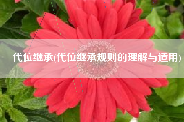 代位继承(代位继承规则的理解与适用)