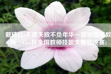 戴玮红(不畏失败不负年华—首届搜狐教育·Civa杯全国教师技能大赛总决赛)