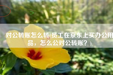 对公转账怎么转(员工在京东上买办公用品，怎么公对公转账？)