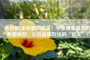 米利都(米利都的陷落：小亚细亚最大的希腊城邦，反抗波斯奴役的“起义”)