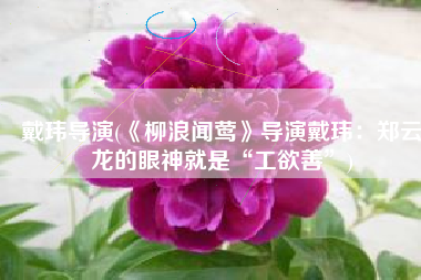 戴玮导演(《柳浪闻莺》导演戴玮：郑云龙的眼神就是“工欲善”)