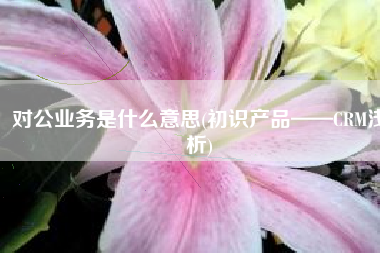对公业务是什么意思(初识产品——CRM浅析)