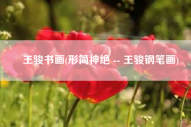 王骏书画(形简神绝 -- 王骏钢笔画)