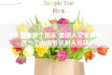 麦金尼是哪个国家(美国人又来谈判了，这三个小细节很耐人寻味！)