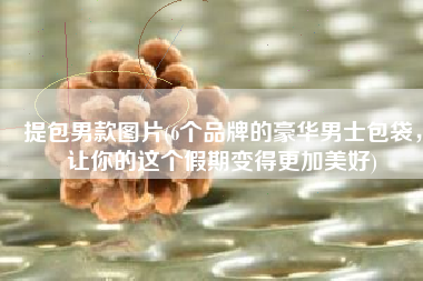 提包男款图片(6个品牌的豪华男士包袋，让你的这个假期变得更加美好)