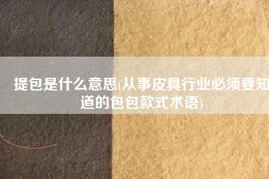 提包是什么意思(从事皮具行业必须要知道的包包款式术语)