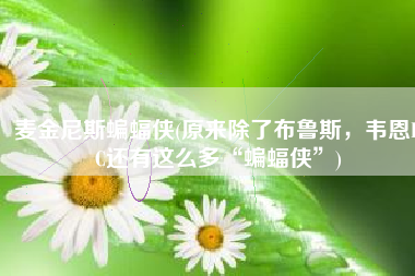 麦金尼斯蝙蝠侠(原来除了布鲁斯，韦恩DC还有这么多“蝙蝠侠”)