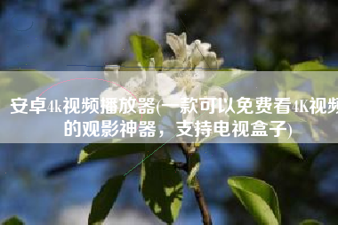 安卓4k视频播放器(一款可以免费看4K视频的观影神器，支持电视盒子)