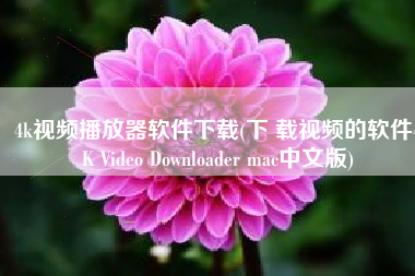 4k视频播放器软件下载(下 载视频的软件4K Video Downloader mac中文版)