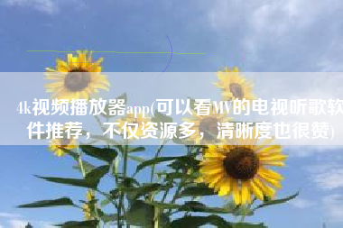 4k视频播放器app(可以看MV的电视听歌软件推荐，不仅资源多，清晰度也很赞)
