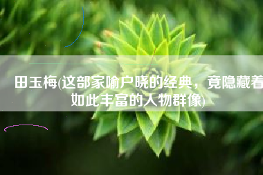田玉梅(这部家喻户晓的经典，竟隐藏着如此丰富的人物群像)