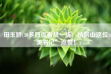 田玉娇(30多日夜奋战一线，给房山这位“美书记”点赞！)