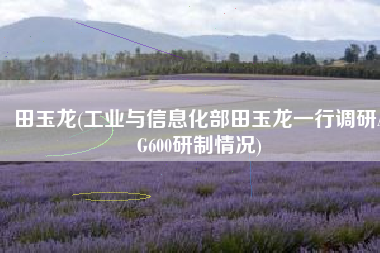 田玉龙(工业与信息化部田玉龙一行调研AG600研制情况)