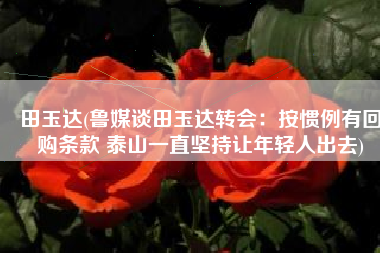 田玉达(鲁媒谈田玉达转会：按惯例有回购条款 泰山一直坚持让年轻人出去)
