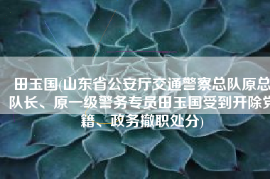 田玉国(山东省公安厅交通警察总队原总队长、原一级警务专员田玉国受到开除党籍、政务撤职处分)