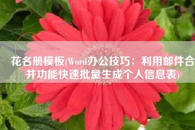 花名册模板(Word办公技巧：利用邮件合并功能快速批量生成个人信息表)