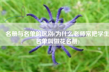 名册与名单的区别(为什么老师常把学生名单叫做花名册)