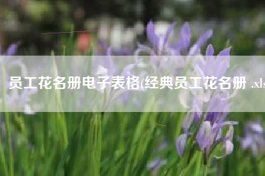 员工花名册电子表格(经典员工花名册 .xls)