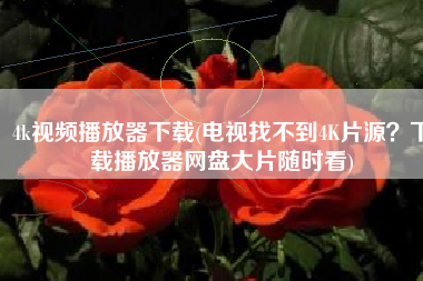 4k视频播放器下载(电视找不到4K片源？下载播放器网盘大片随时看)