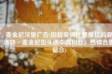 麦金尼汉堡广告(因超级碗比赛爆红的夏洛特·麦金尼街头遇中国粉丝，热情合影留念)