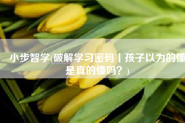 小步智学(破解学习密码丨孩子以为的懂是真的懂吗？)