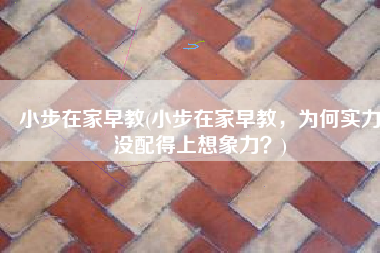 小步在家早教(小步在家早教，为何实力没配得上想象力？)